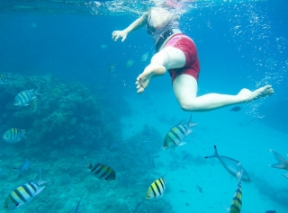 snorkel en arrecifes